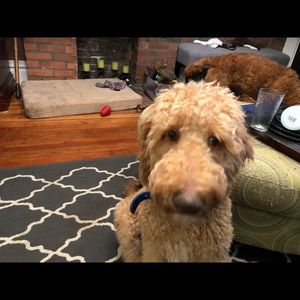 Meet your Posher, Fonda